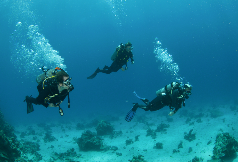 Underwater Reef Exploration in Negril, Jamaica