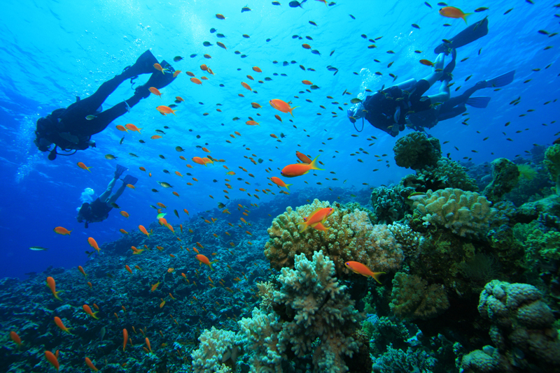 Visit Jamaica For The Best Scuba Diving Experiences